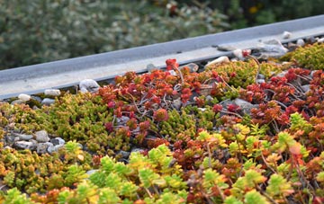 the cost of Shorley green roof installation