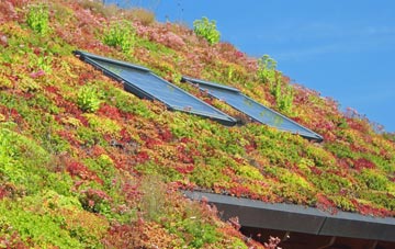 Shorley living roof systems